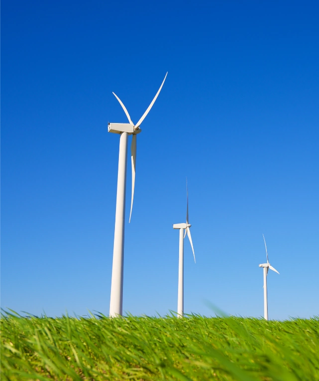 Wind turbines in a field